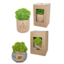 Reklamowy zestaw do uprawy rośliny - ZIEL-01 - Agencja Point