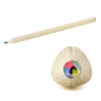 Kredka wielokolorowa z logo firmy - Agencja Point - V9366-18