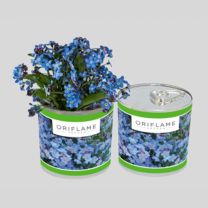 Nasiona ziół lub kwiatów w puszce z logo firmy - EKO-04 - Agencja Point