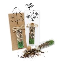 Reklamowe nasiona w kapsułkach - zestaw z logo firmy - ZIEL-02 - Agencja Point